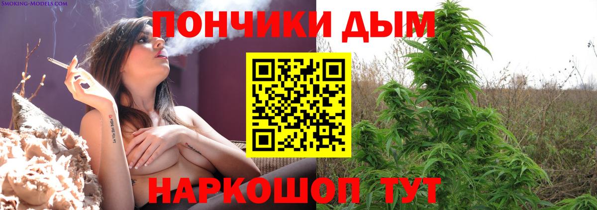 Марихуана планчик  Конопля конопля  Конопля гибрид  Киров  Вход с VPN 